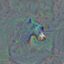 n02134084
